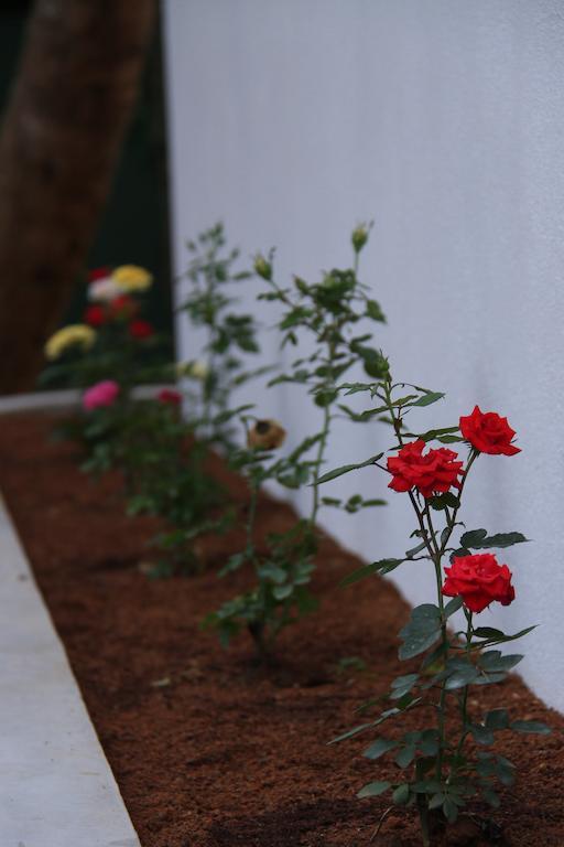 Villa Dineha Hikkaduwa Dış mekan fotoğraf
